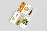 多角度设计展示三折页样机PSD贴图模版3 Fold Tri-Fold Brochure Mockups