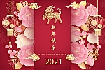 2021年牛年春节新年活动主题海报设计矢量插画素材下载