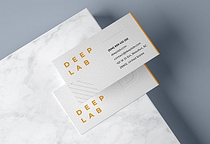 多角度商务名片样机ps素材智能贴图模板Business Card Mockup Set