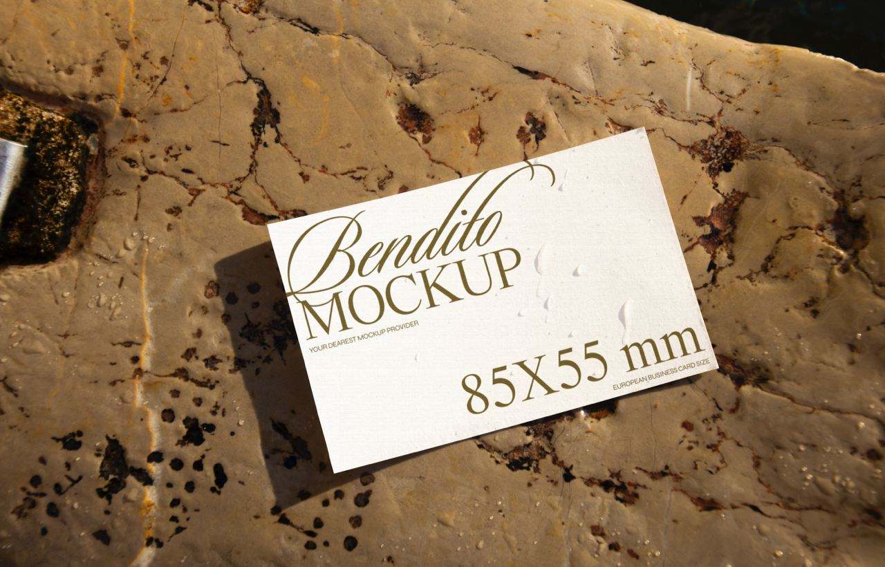 16款高端艺术光影多场景卡片名片设计展示效果psd样机贴图Bendito Mockups vol.4 – Business Cards